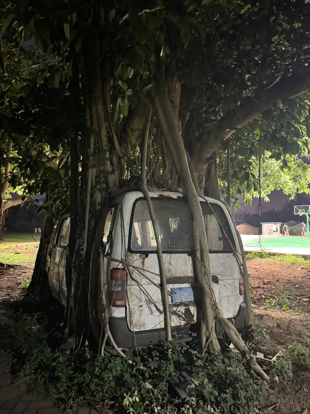 被牢牢困住的车，看起来很有故事？🤔 ​​​