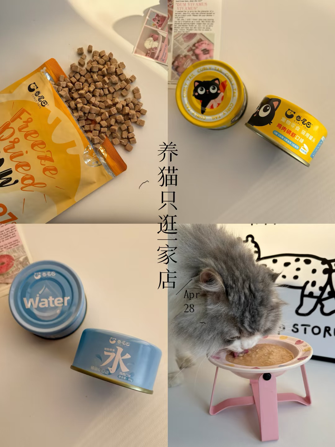 ⋅𐙚ྀVlog｜养猫只逛一家店˚₊✯͡