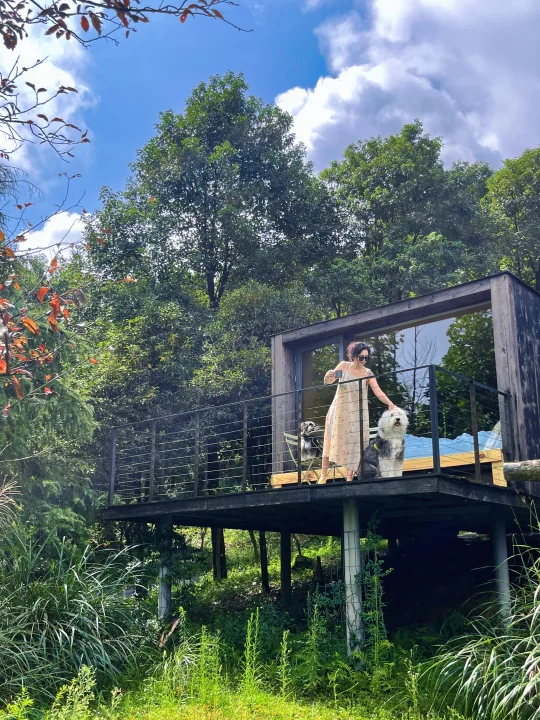 带狗狗冲！重庆森林农场🌳度假太快乐了吧