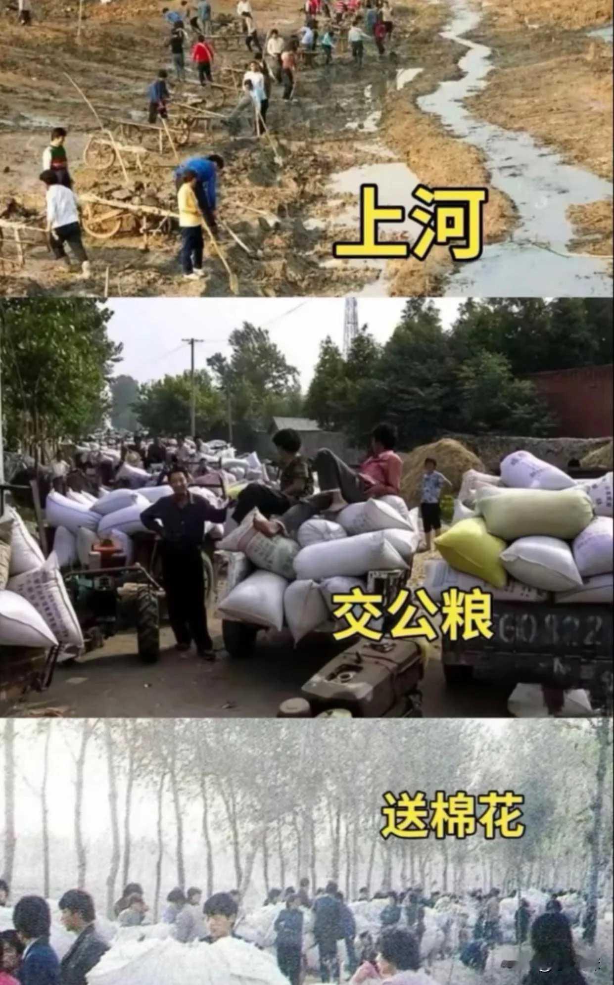 交公粮，一直就在干！