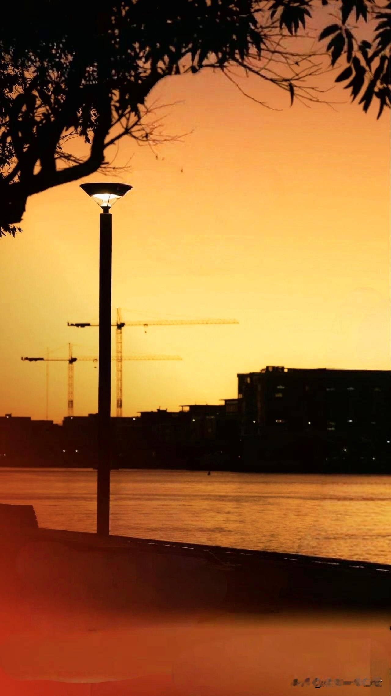 生活不是对抗，是和解，
和自己、和时间，和所有不完美。

钟意一朵花，不一定要把