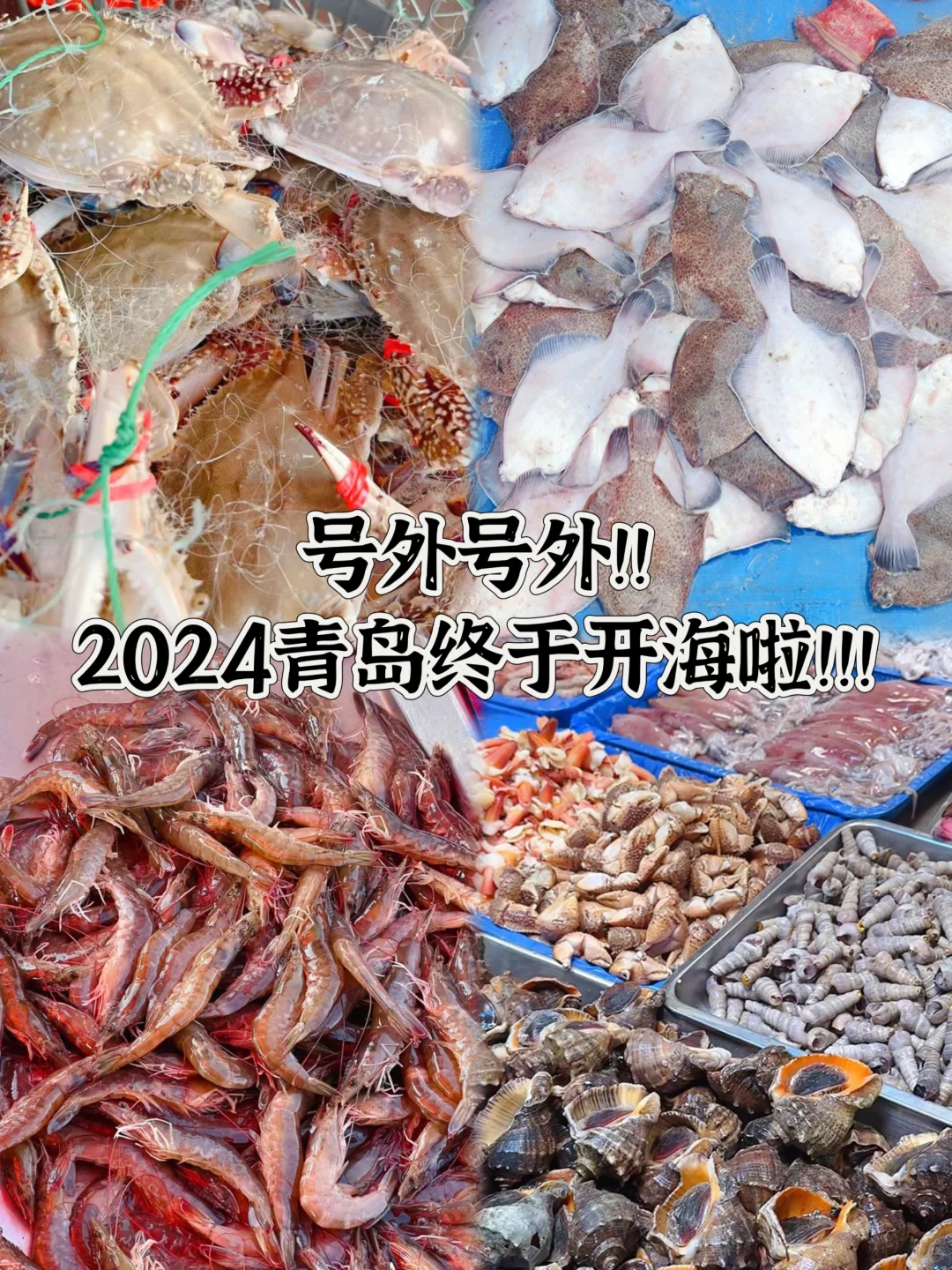 我不允许你不知道！我们大青岛开海啦！
