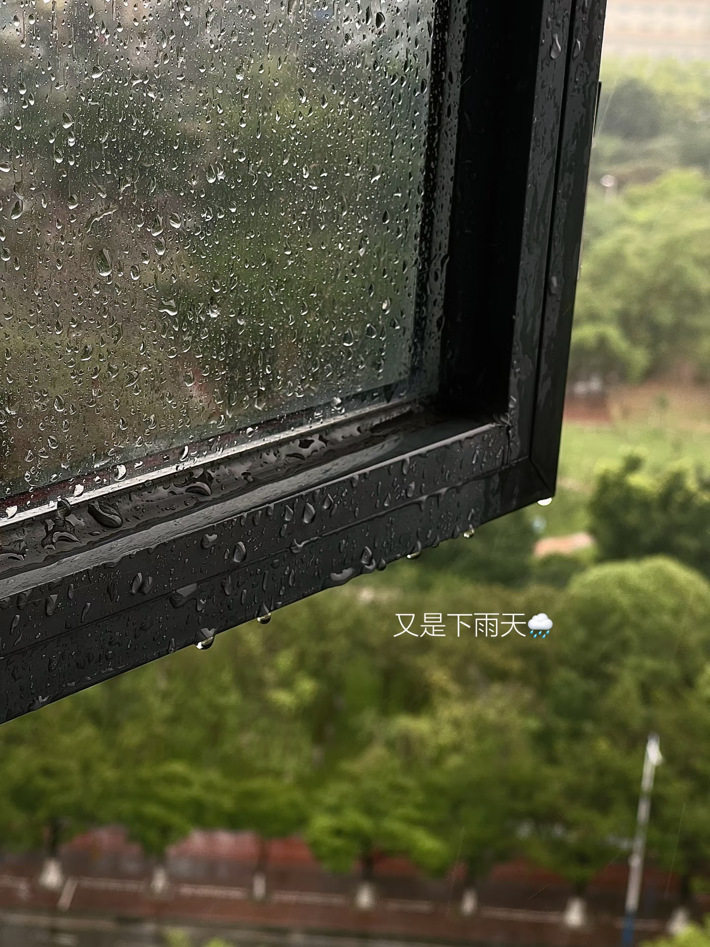 独居的快乐，下雨天最懂！偏爱下雨的日子，一个人做饭，一个人看雨，三餐简单，生活清