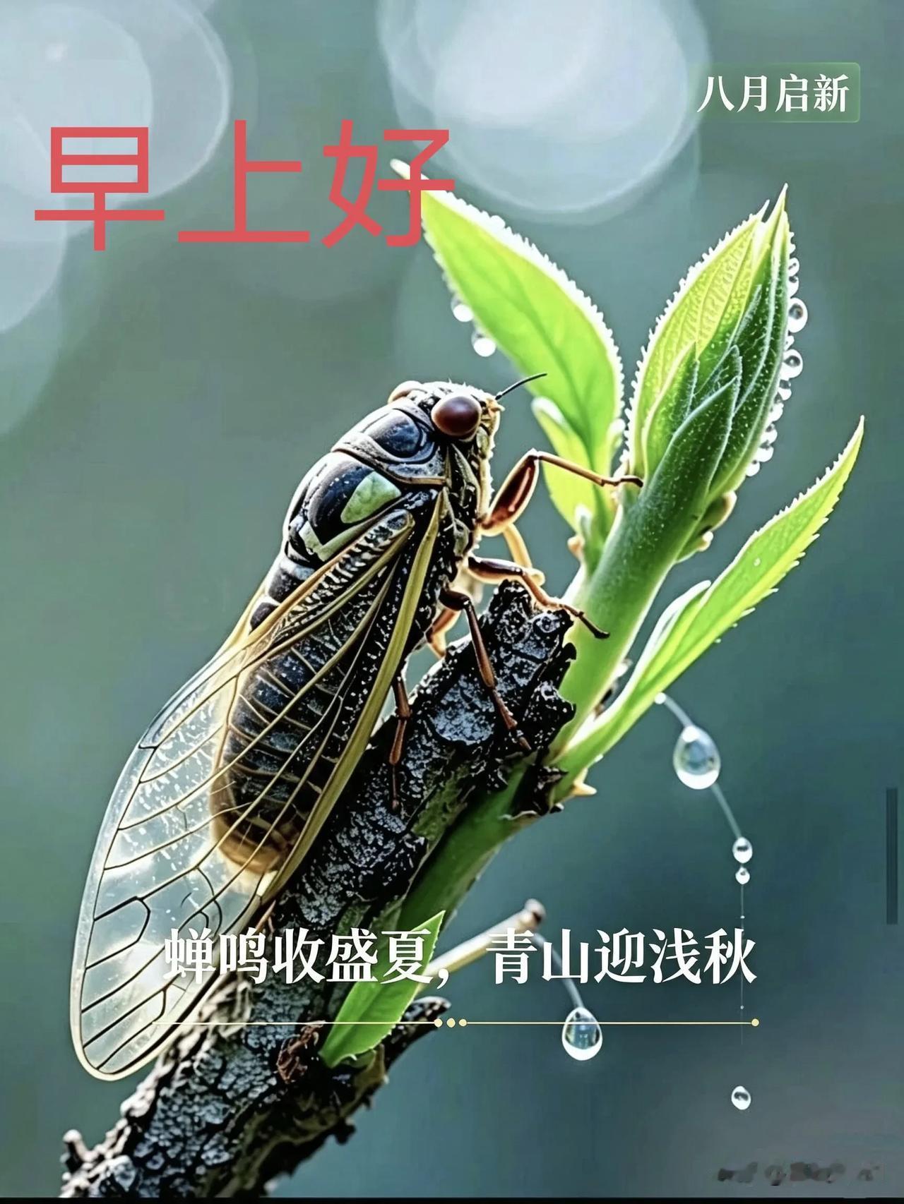 晨起迎微光，生活慢慢向好，心怀温暖，好好迎接崭新的一天。
