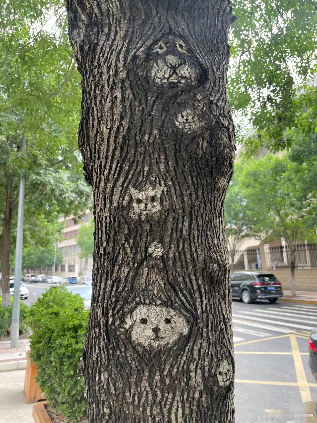树都是可爱的让人开心的形状 ​​​