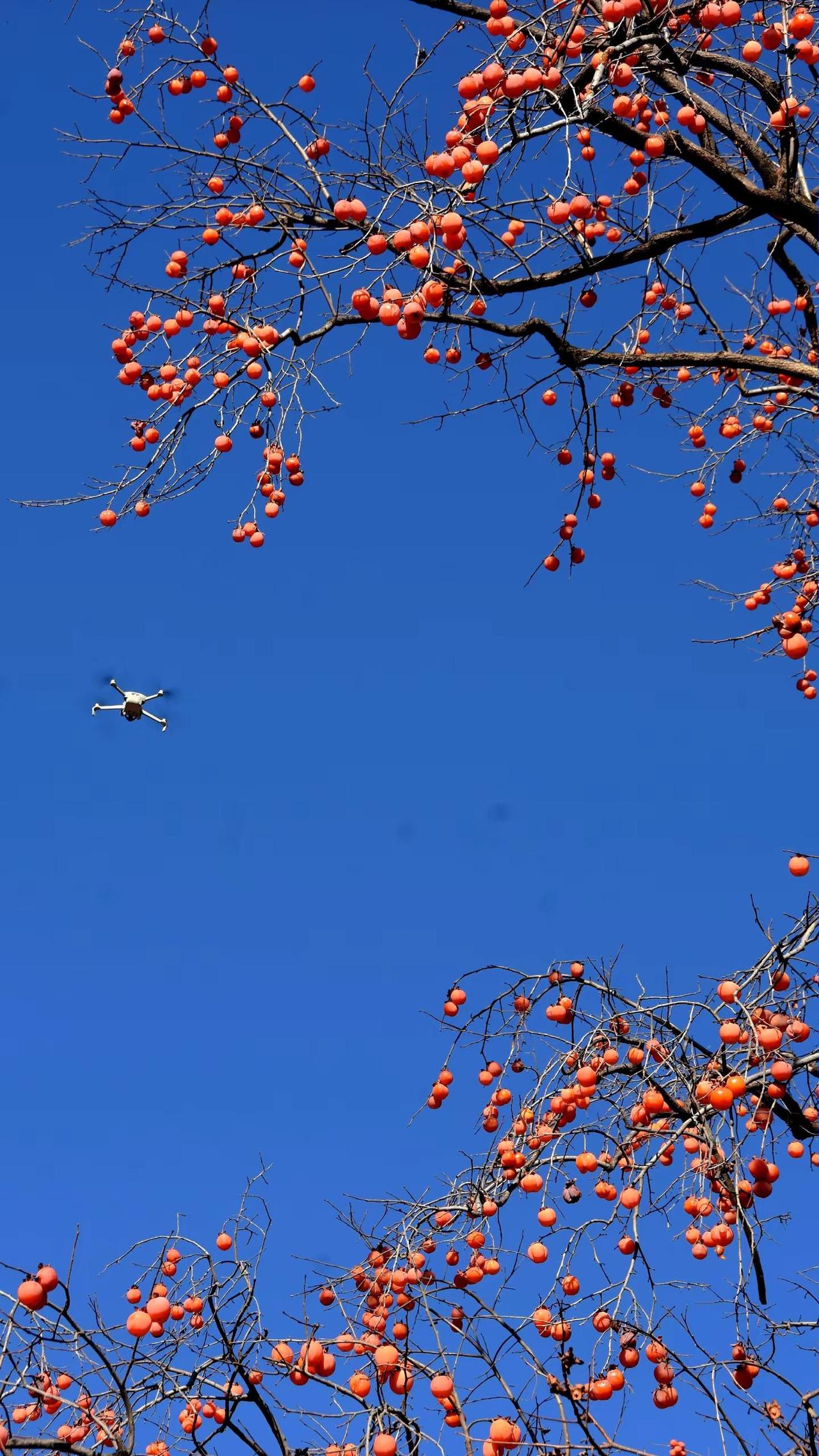 记录•太行一日乡愁太行小助手