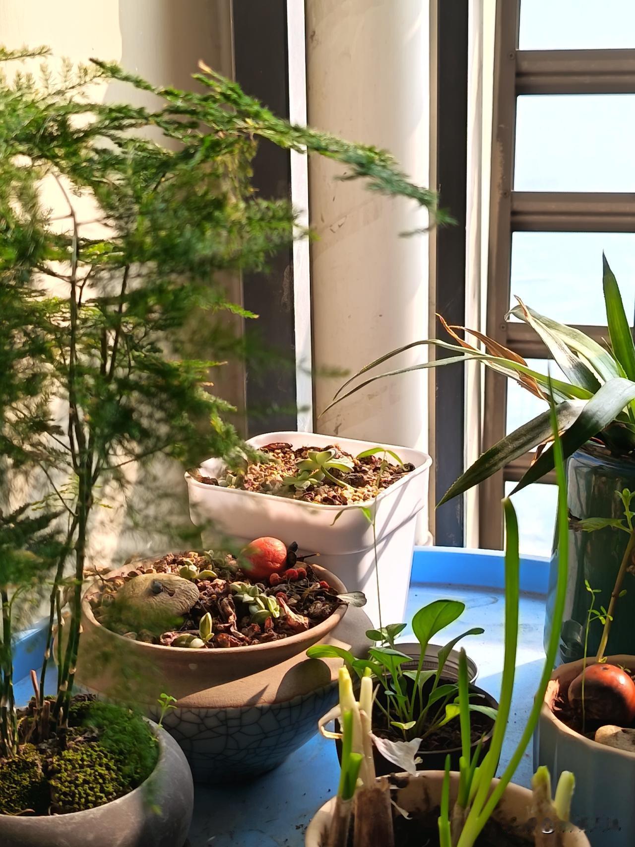 心有烦恼时,何人安慰?

烦恼何须他人解？
人生之苦可自渡