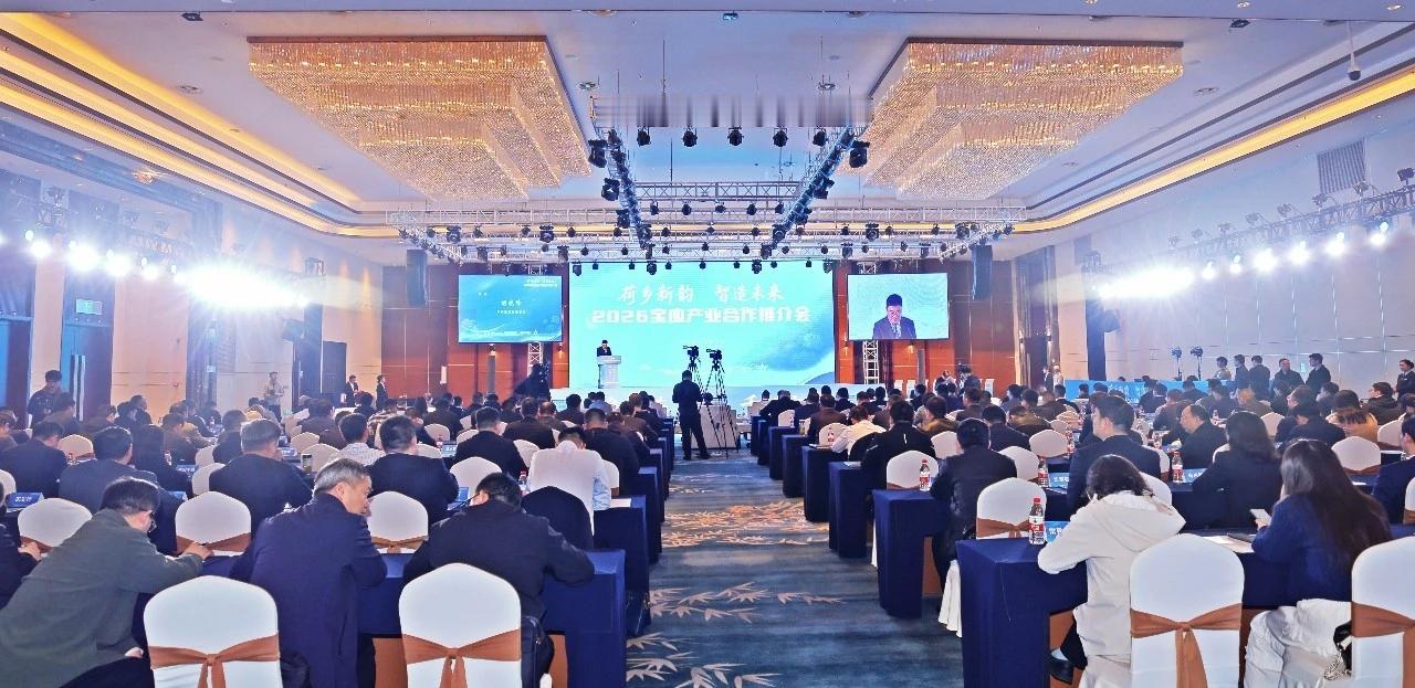 宝应放大招！这场推介会，藏着千亿县的未来

4月17日，“荷乡新韵 智造未来”2