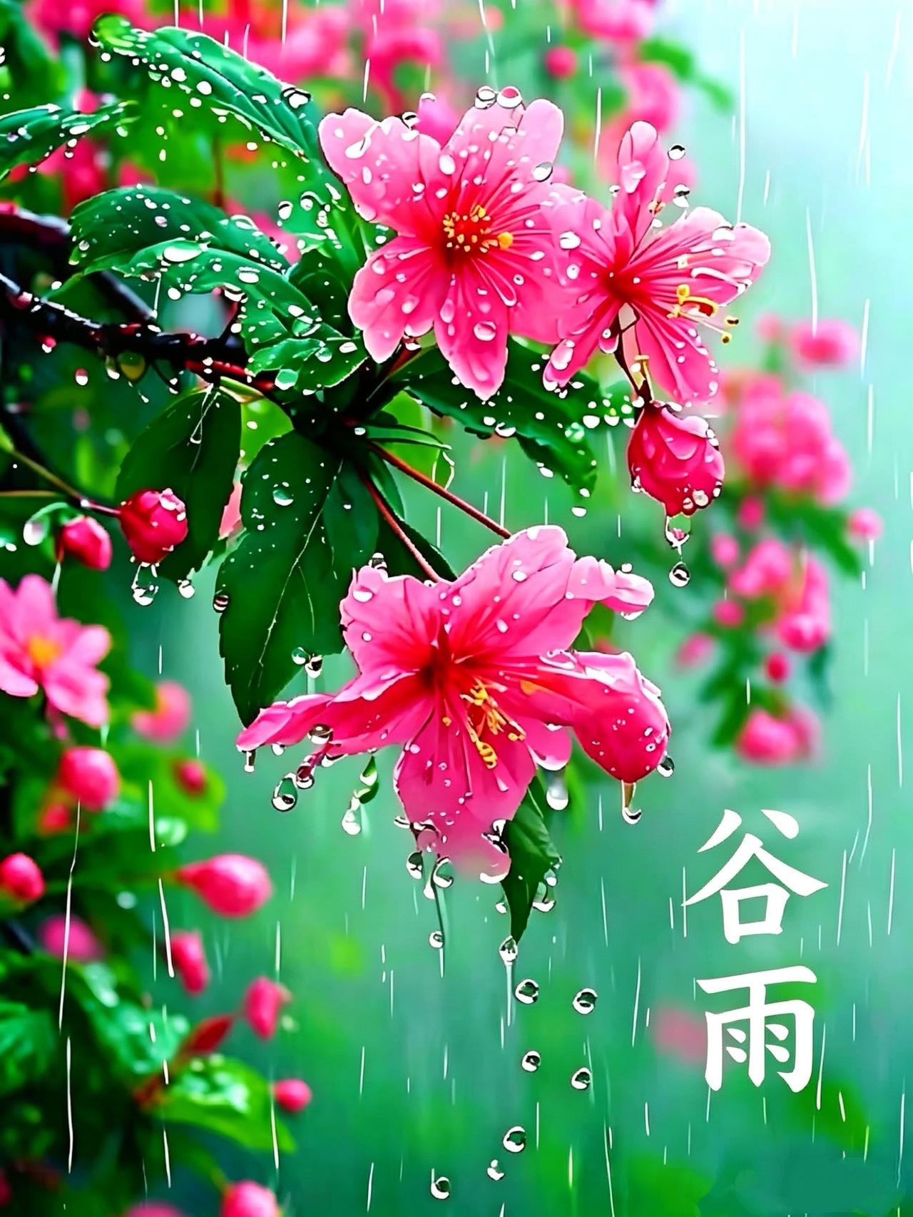 谷雨
烟笼柳岸涨春池，
丝雨沾衣润碧枝。
水漾空蒙浮晓雾，
苔生浅渚缀新诗。
闲