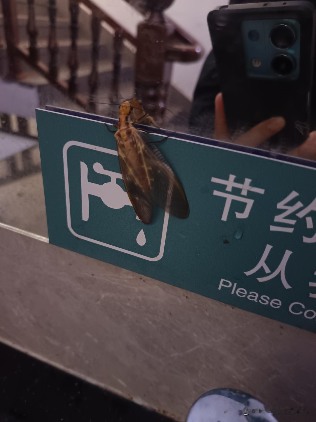 傍晚和闺蜜匆匆去买零食，遇到一个30多岁的胖女人，冲着我和闺蜜笑着说，能给我买碗