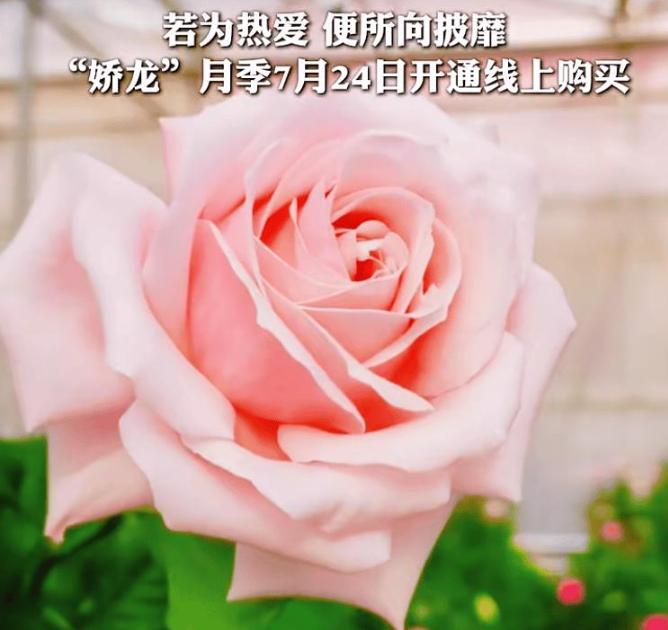 2026 年 7 月 23 日，新疆日报发布最新资讯，位于云南昆明的云南省农业科