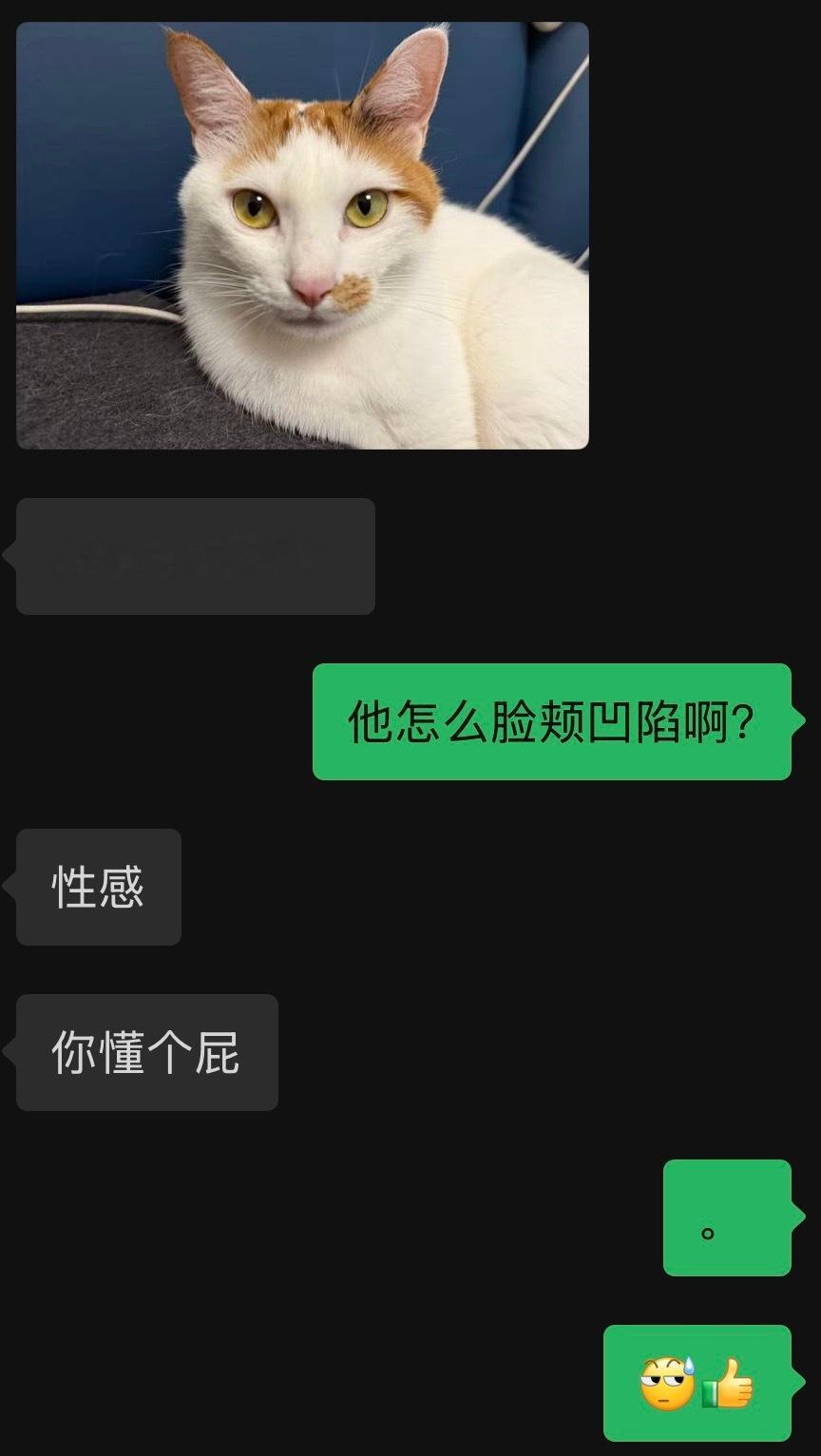 我觉得她跟烙印一定很有共同话题一个猫宝男 一个猫宝女 嗯嗯 