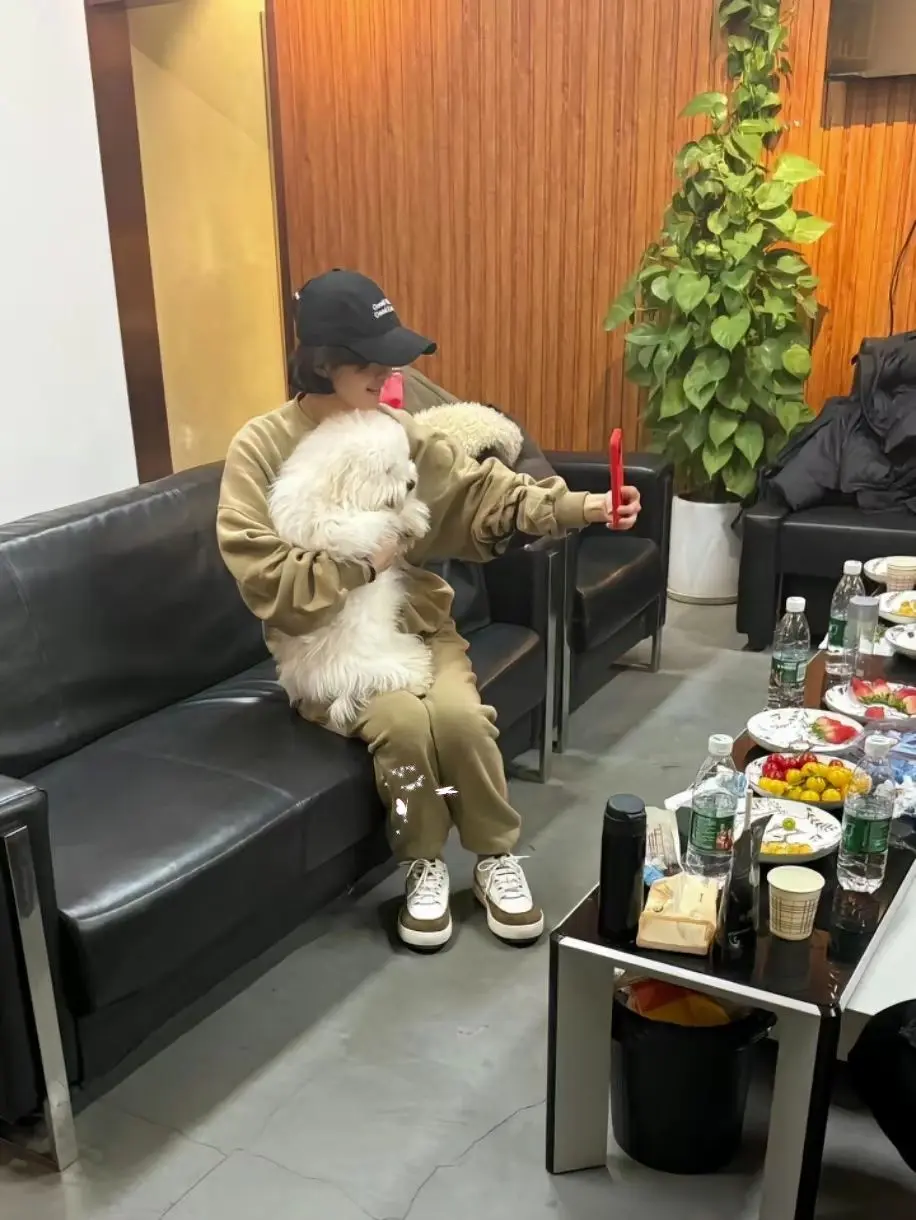 赵丽颖