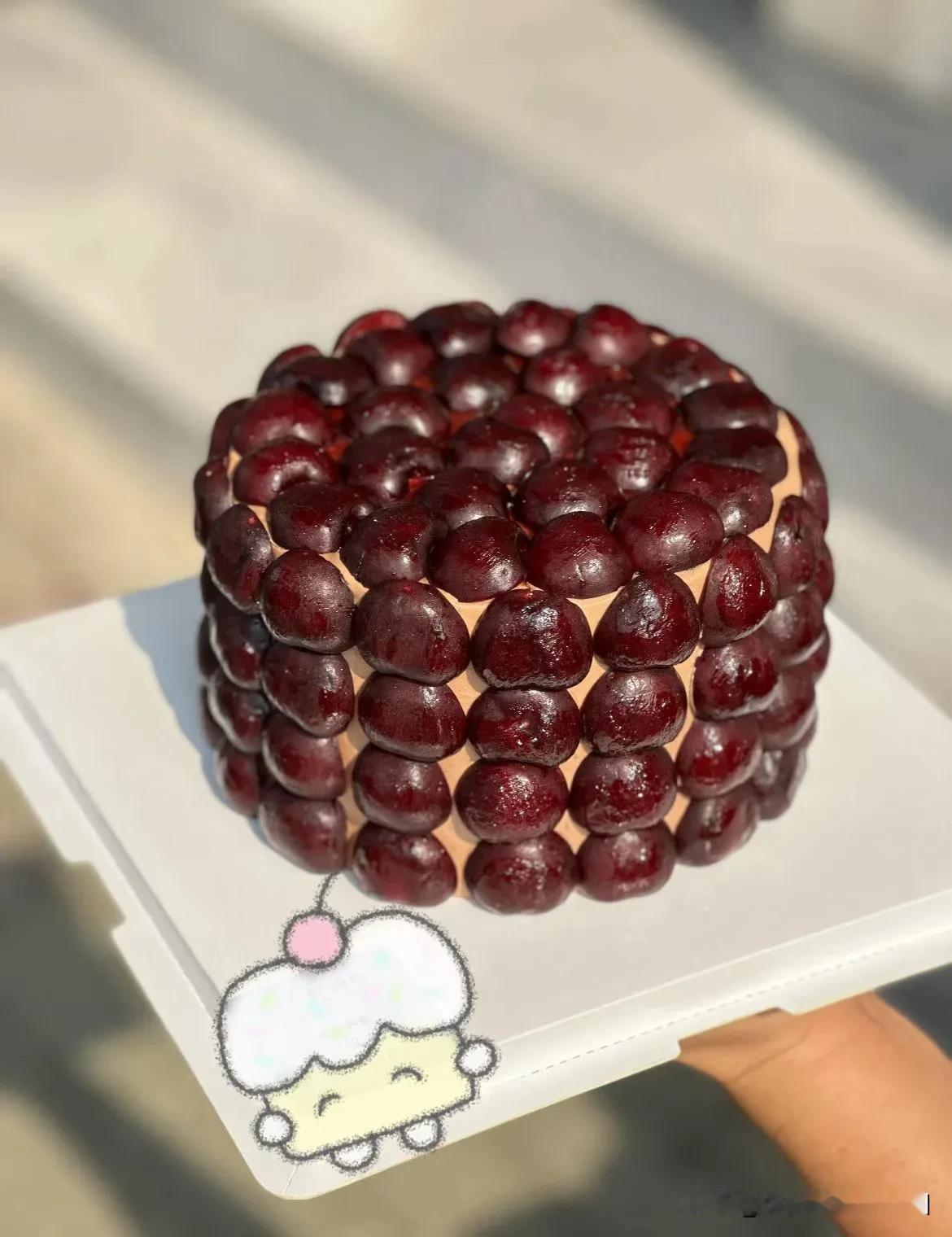 冬日生活打卡季车厘子蛋糕，太惊艳了哈，好吃不贵！