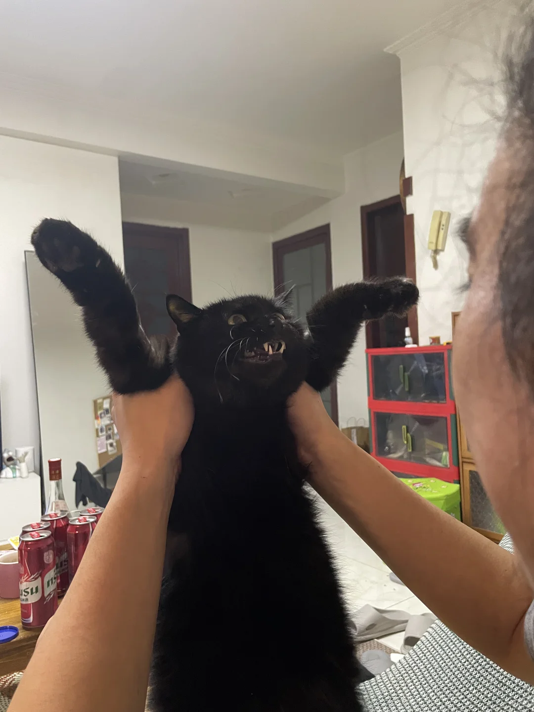 被迫投降！告诉俺娘，快来救我 🥺