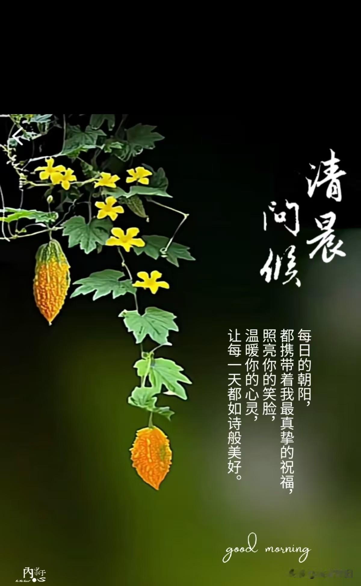 《临江仙·晨语寄情》
 
晓日初升风送爽，
良辰又启新程。
一声问候胜金觥。
愿