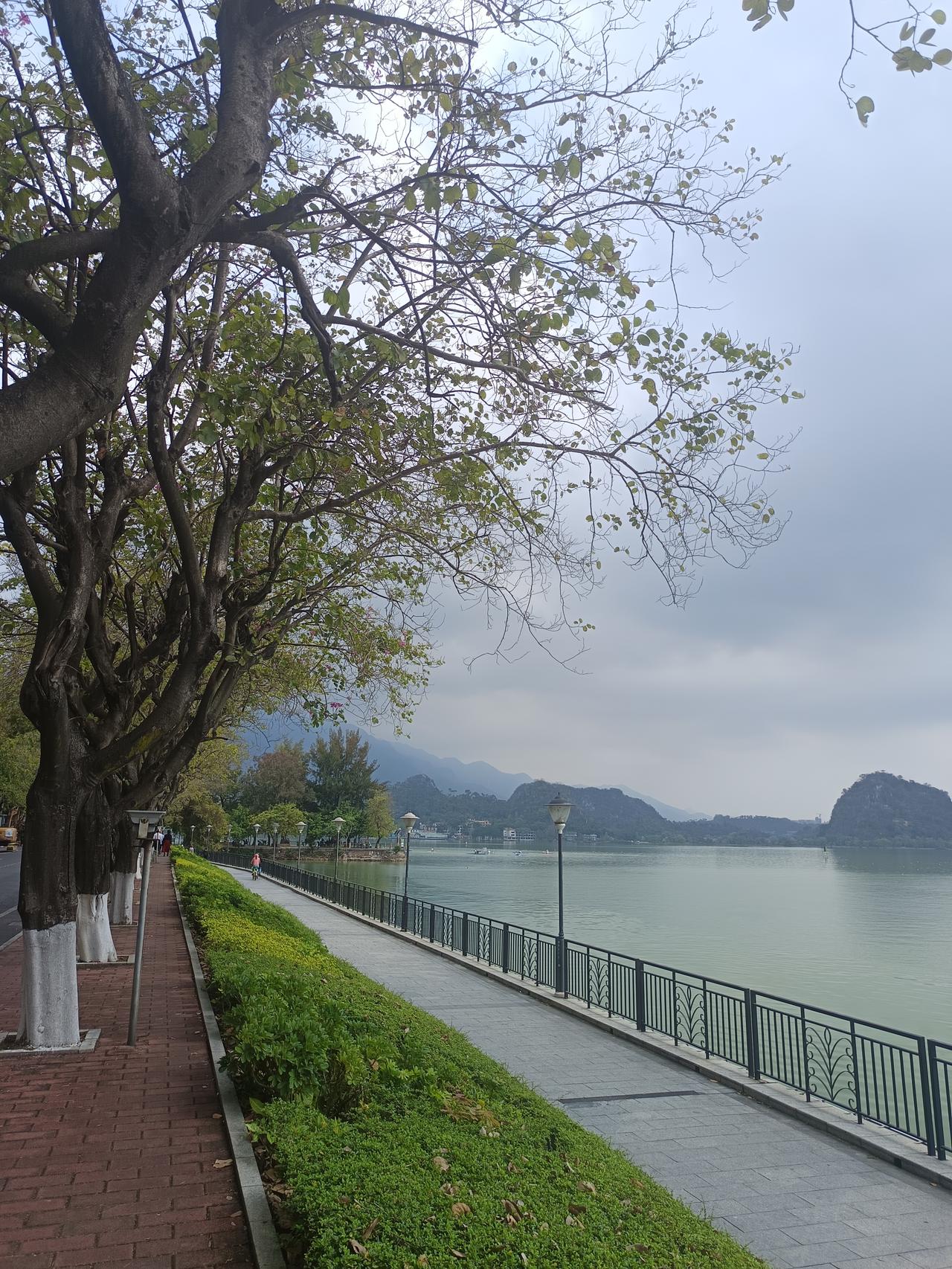 我在星湖旁边
发现一个很严重的问题
但不知道怎么说才好



你敢相信吗？这里就