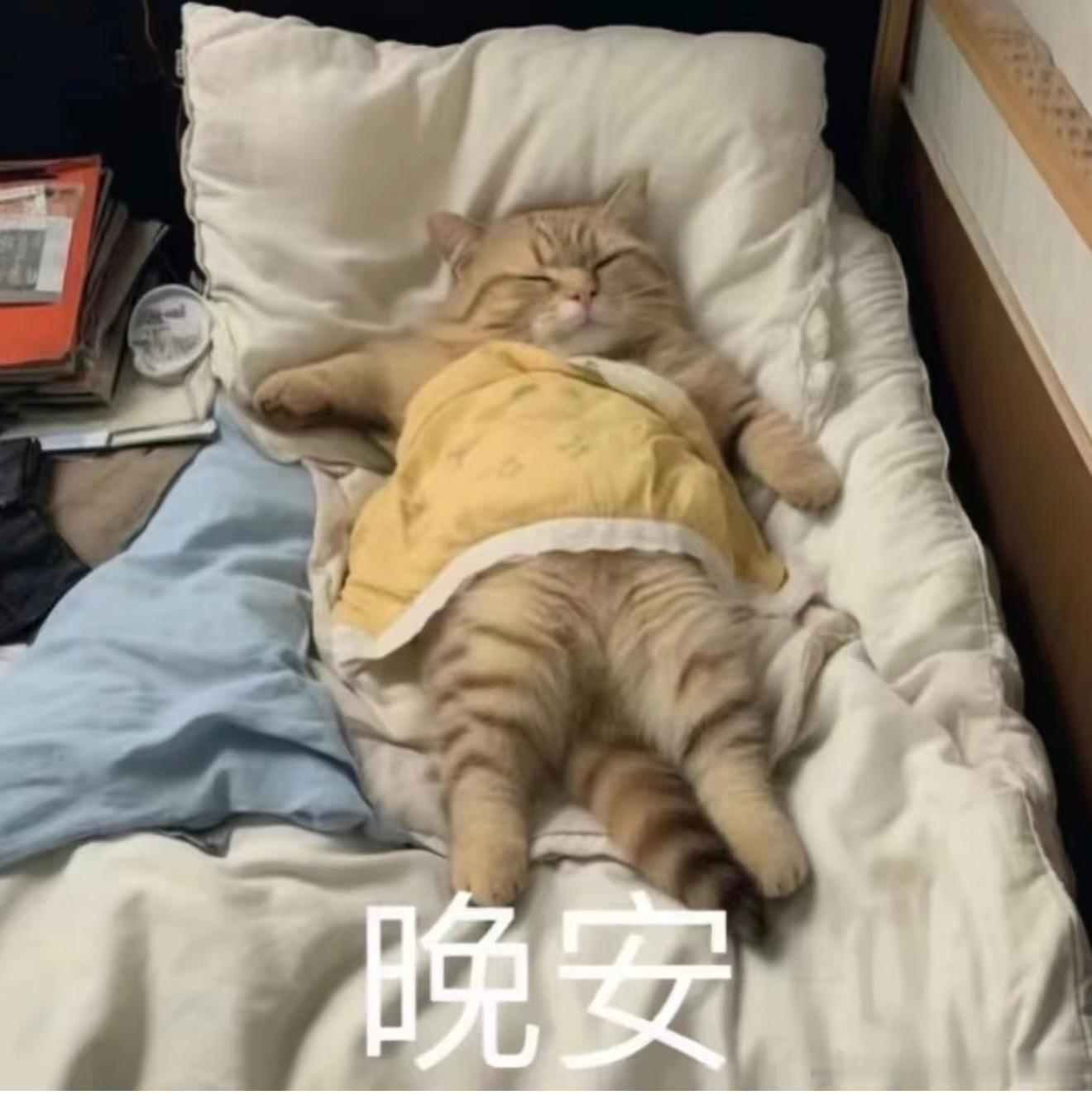 睡觉💤 