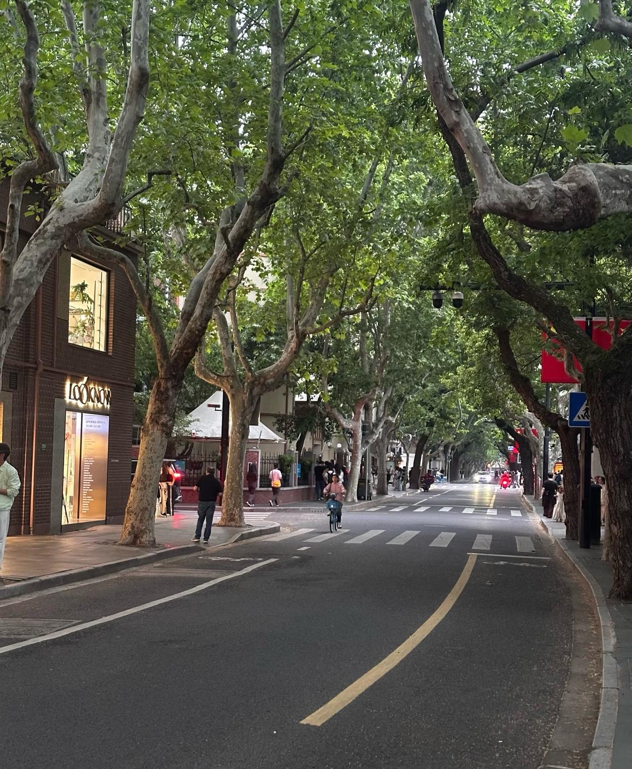 为什么感觉上海外卖员很少

深圳去上海玩了几天，感觉路上外卖员很少，部分路段电动