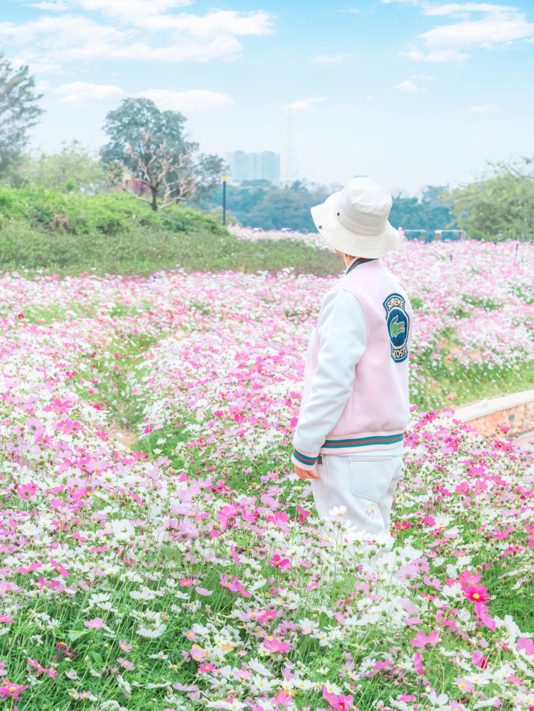 春游记｜忘记海珠湖的格桑花吧‼️这里更美
