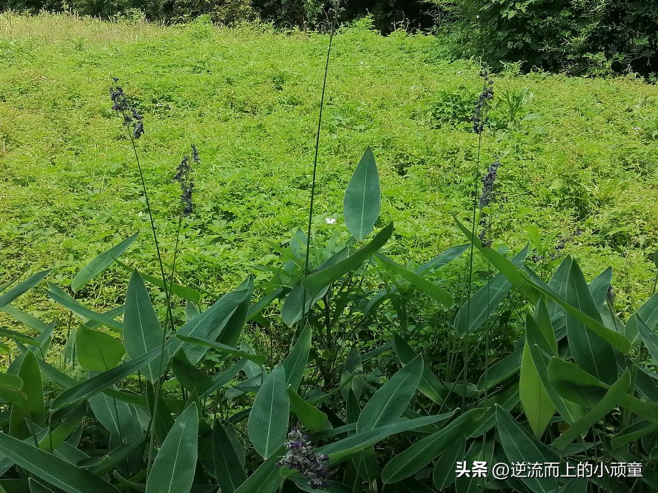 从“出卖时间”到“配置资产”

打破这一循环，不需要你立刻成为亿万富翁，但需要你