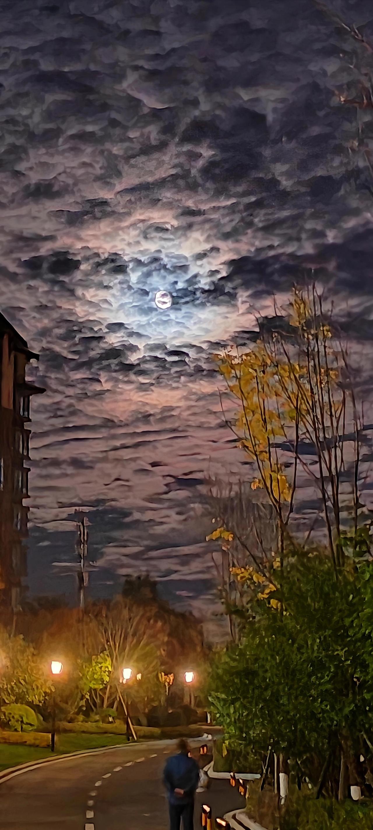 一片海，在天空倒悬。月亮船，你的注视是它的桅杆！