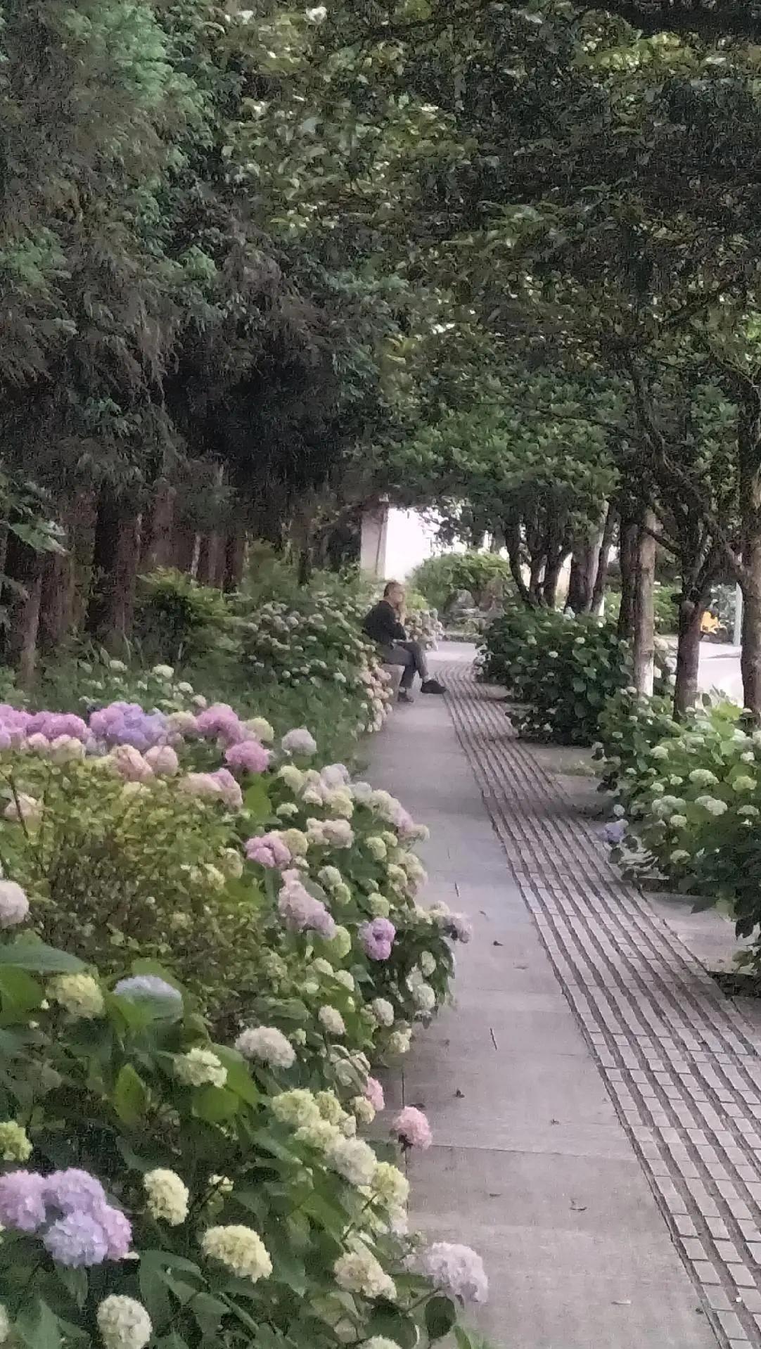 军人本色，永远的战友情！