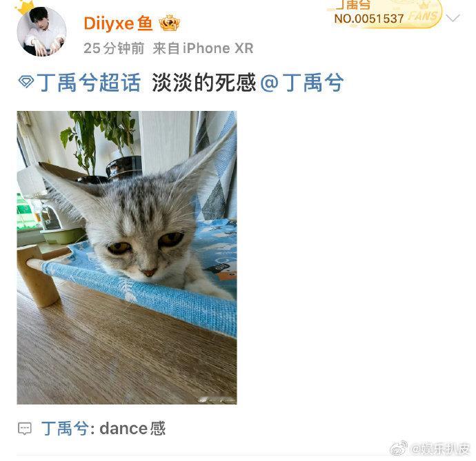 丁禹兮就这样决战烂梗之巅  丁禹兮淡淡的死感dance感 丁禹兮淡淡的死感dan