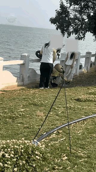 情侣争执竟拿公共财物撒气？男子将共享电单车扔进滇池被追查

近日，一段“男子将电