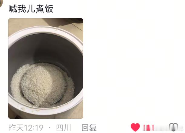 网友家的孩子们。 