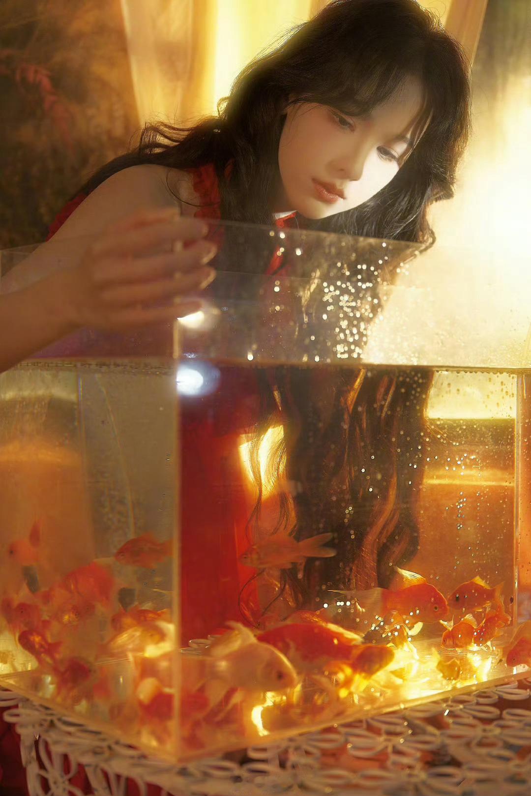 #陈都灵金鱼姬#啊啊啊麻麻我看到仙女了🥹🥹 嘟嘟这组金鱼大片真的好美啊 像是