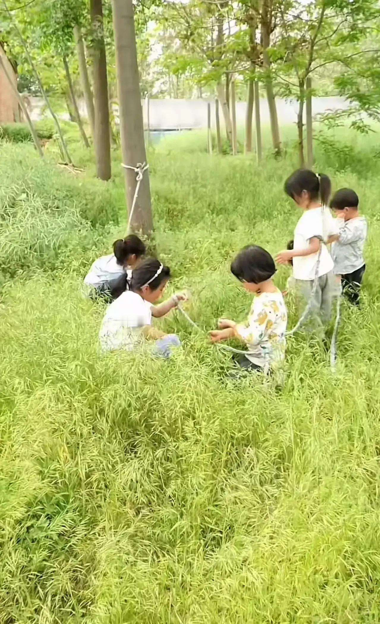 家出走了！”这句话如同晴天霹雳，瞬间击碎了弟媳的善意与温暖。面对五个年幼无辜的孩