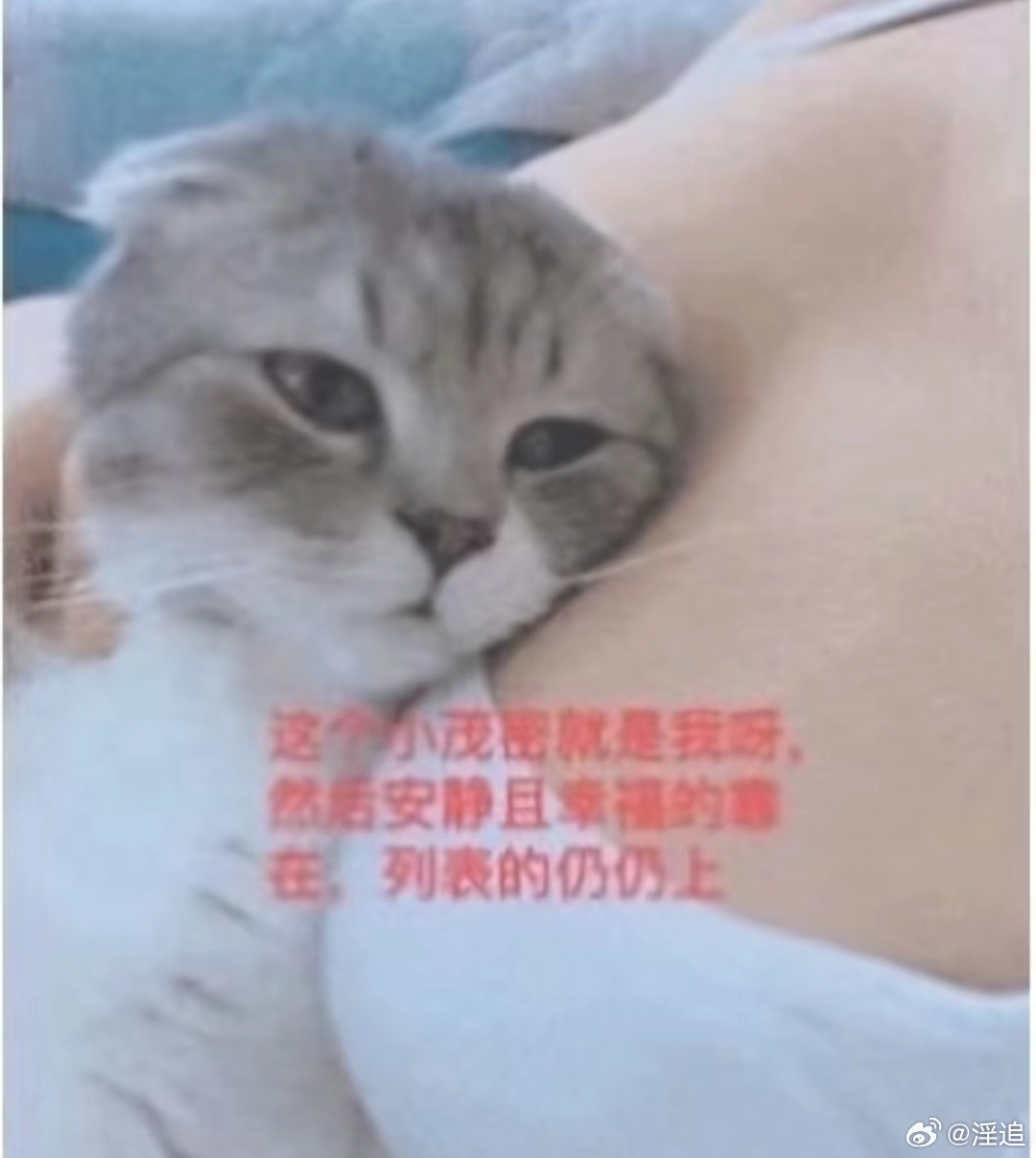分享图片 