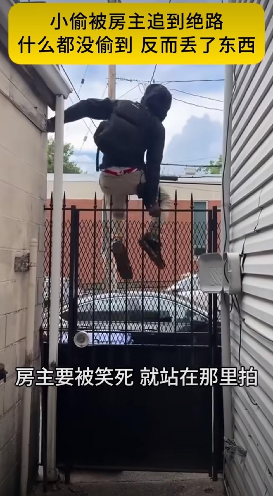 真的是偷鸡不成蚀把米。
小偷被房主追赶，慌慌张张钻进死胡同。
拼命往带刺防盗网上