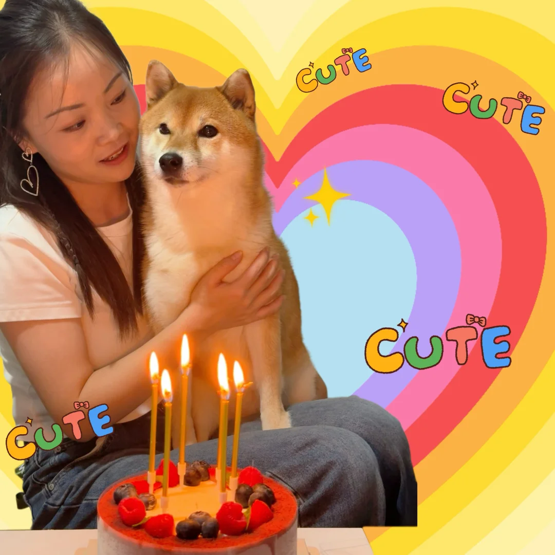 我的小狗六岁啦❤