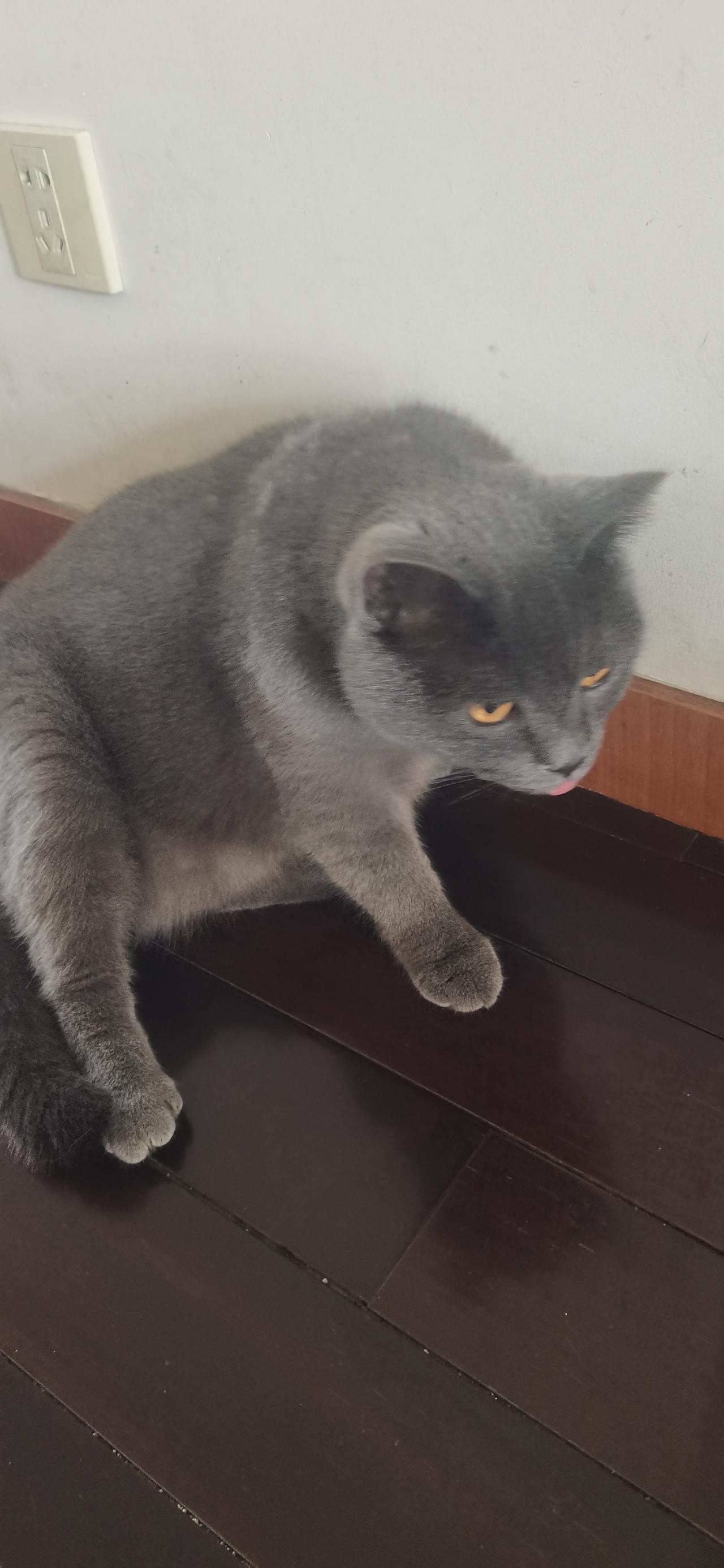 下周要下雨了