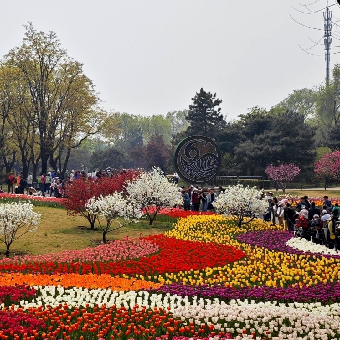 国家植物园花海