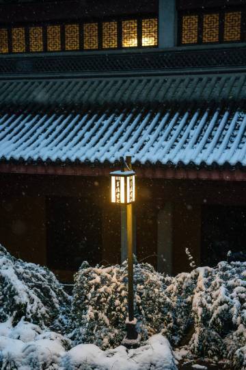 我平生的长进，全在受挫、受辱中得来。一定要咬紧牙关，积蓄自己的斗志，增长自己的智