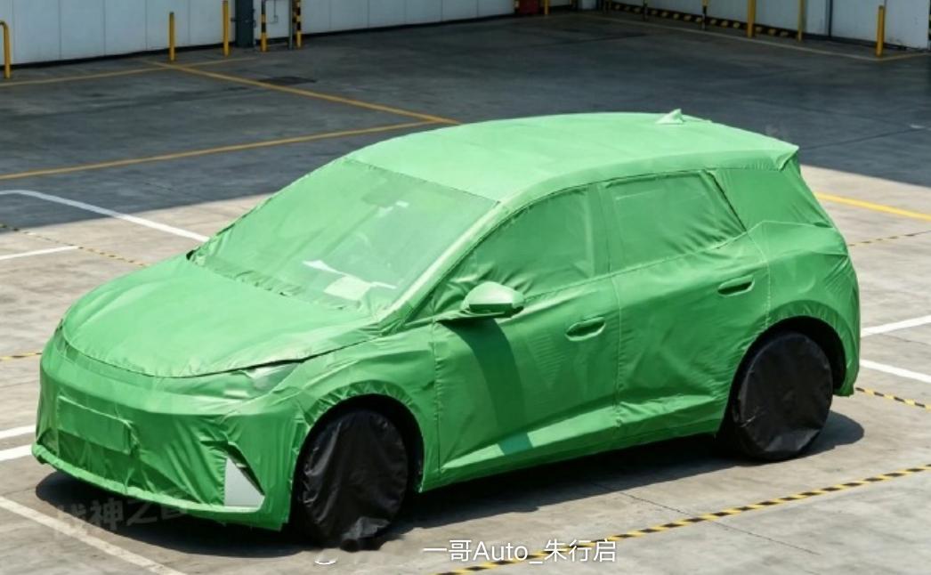 比亚迪海豚G低伪装图亮相糖总设计的还挺不错的不知道和实车误差大不大