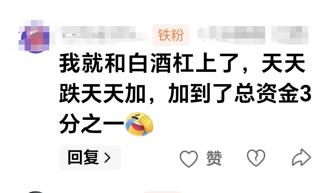 我就和白酒杠上了，天天跌天天加，加到了总资金三分之一。  这是一位朋友的留言，谢