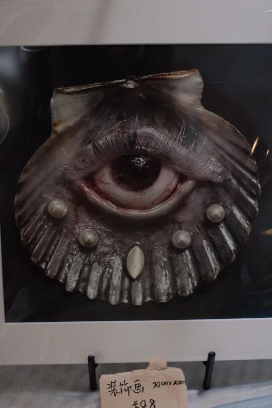 在炎热的夏天遇见一场浪漫贝壳展出🐚