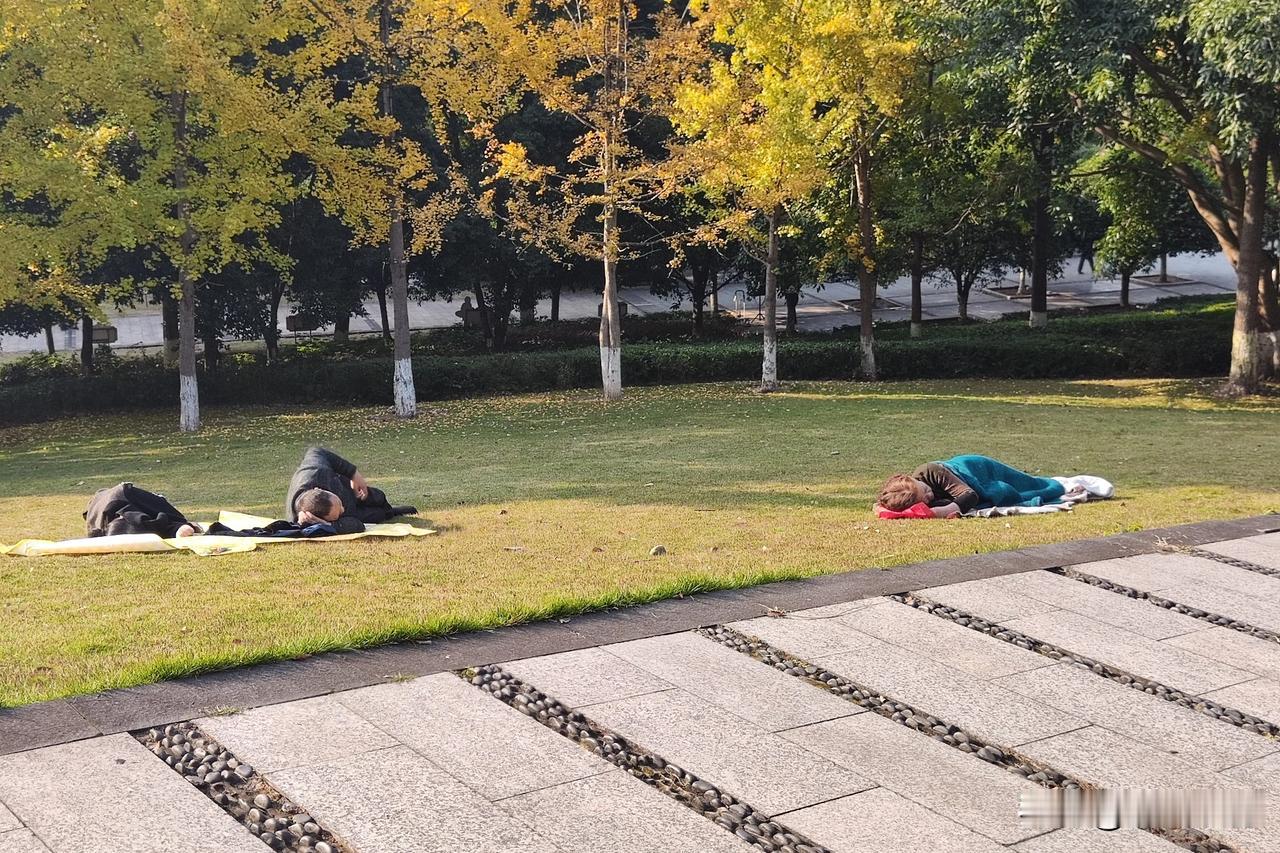 邻居大娘有男女五个娃，都是在上个世纪五六十年代生养的。
养大他们，大娘两口子吃了