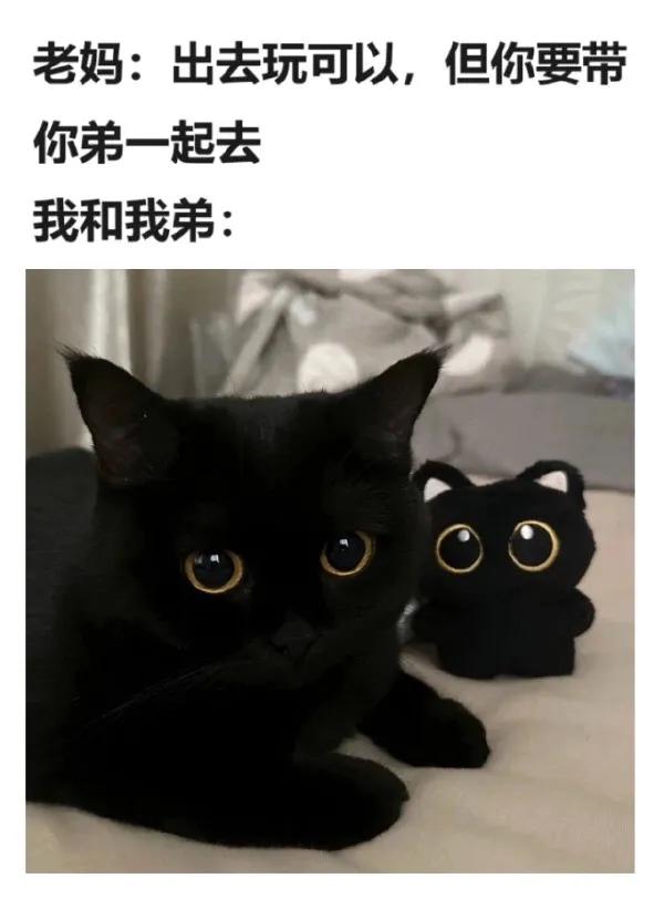 #秋日生活记录#[笑哭]