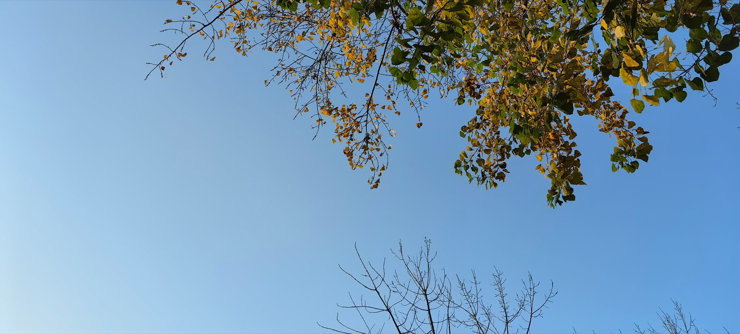 今天的成都的天气太巴适了 