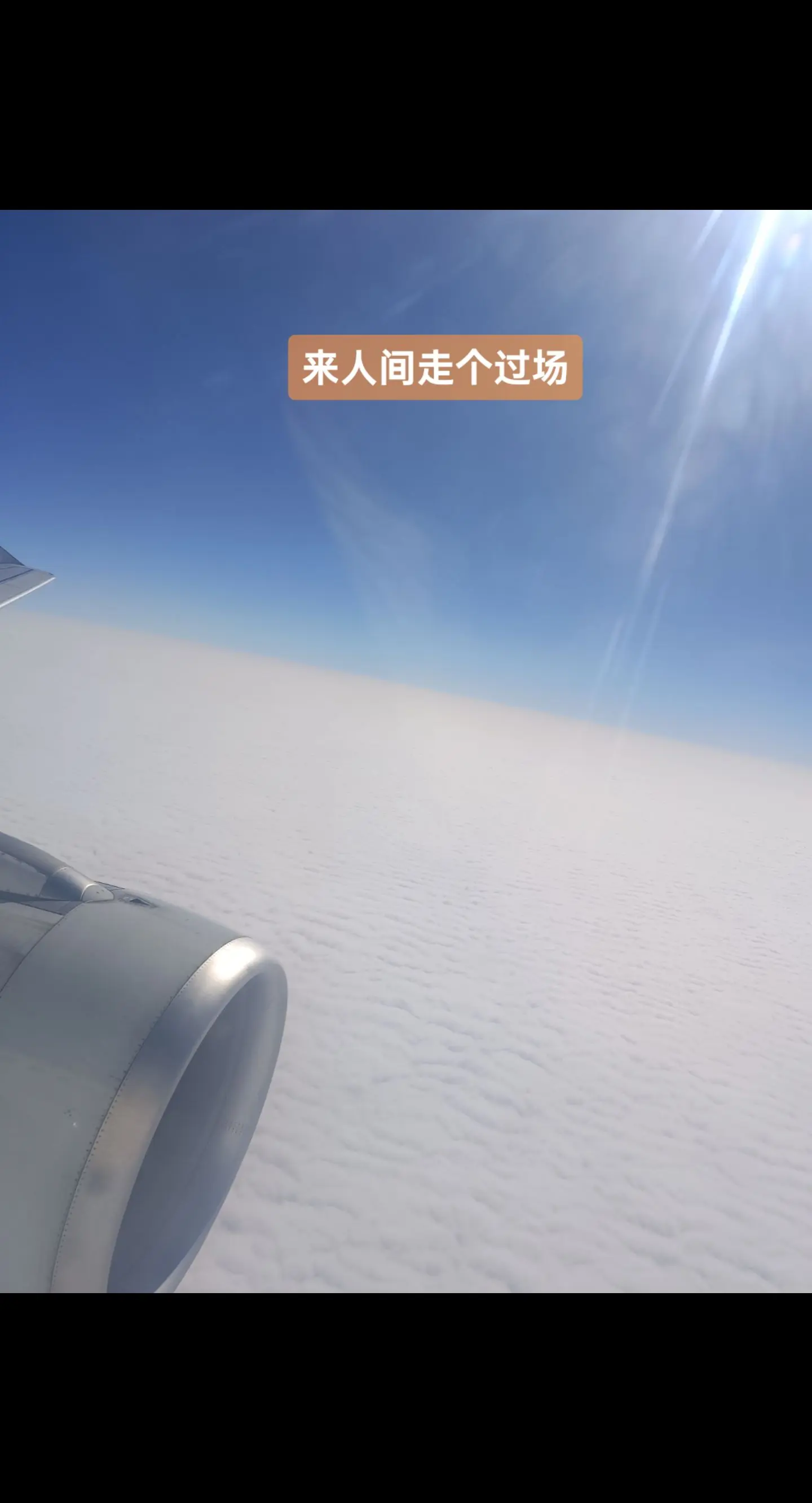 来人间走个过场。