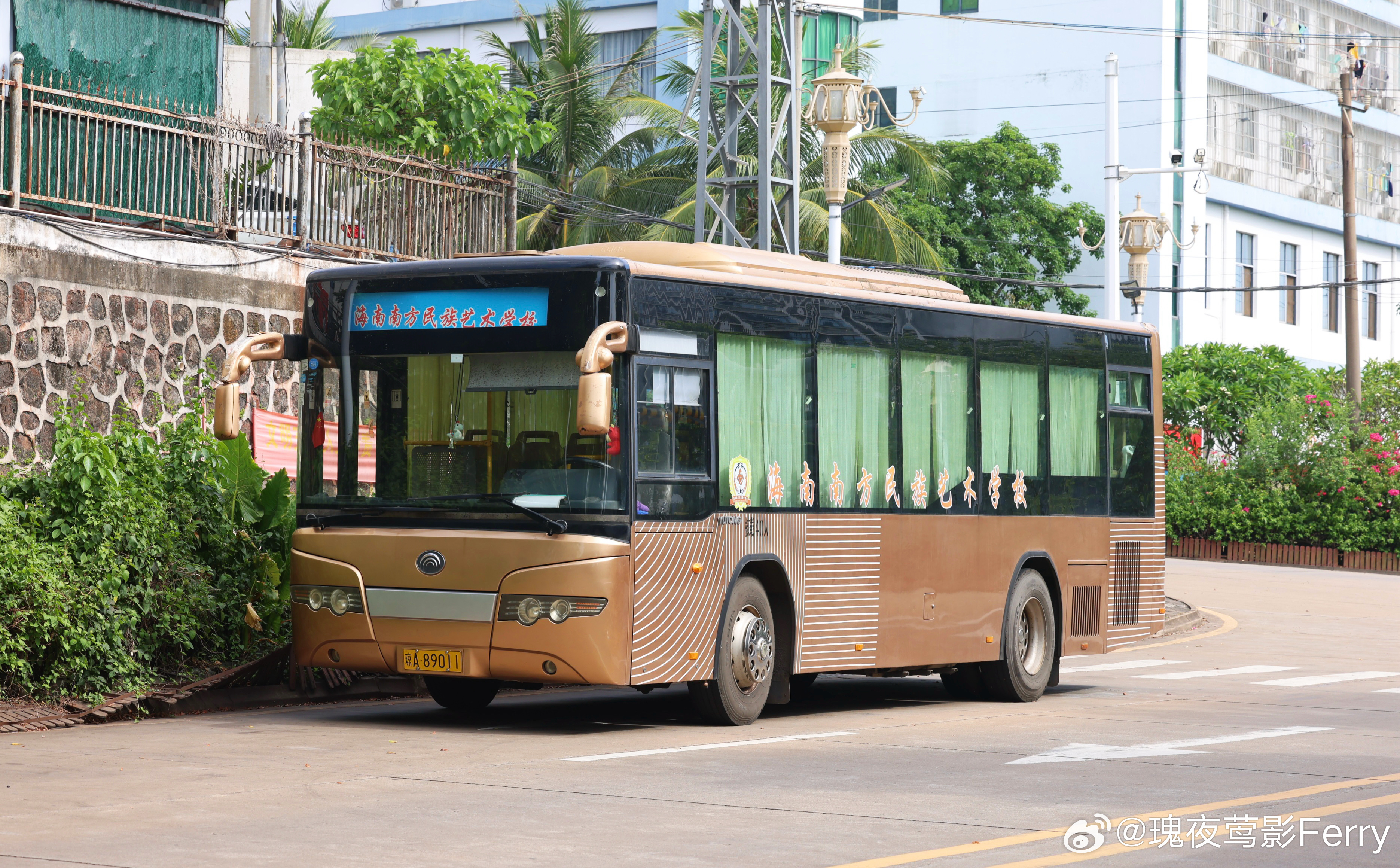 海南南方民族艺术学校·ZK6108HGC参观完椰树工厂出来路边偶遇 三亚·海旅免