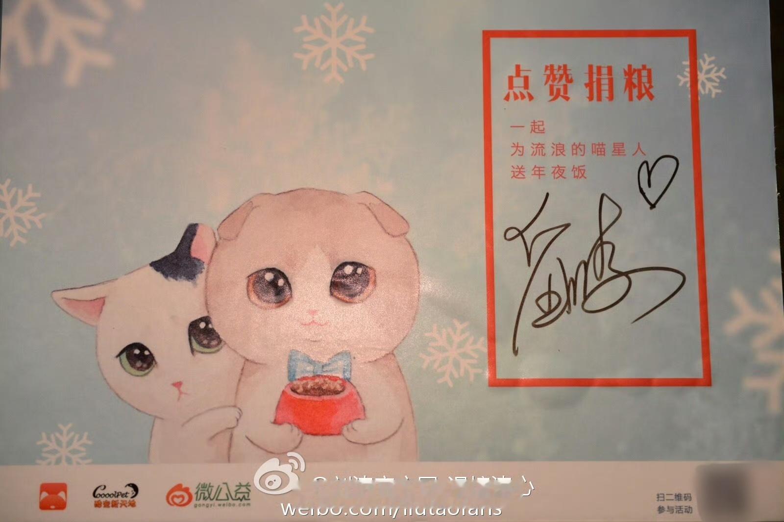 刘涛不仅经常给流浪狗收留站捐钱，怕猫的她还做关于猫咪的公益