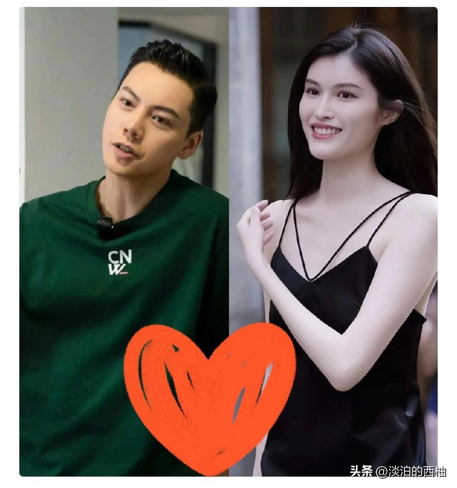 我严重怀疑，

陈伟霆连卖两套房，

不是因为欠了很多外债，而是为了给自