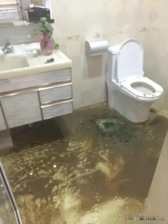 马桶漏水漏掉人生：贪欲是把双刃剑，诚信才是护身符

诸位朋友，今儿咱们单说一桩发