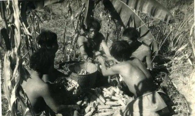 1956年，部队在云南原始森林深处，发现一群衣不蔽体、蓬头垢面的男男女女。经过调